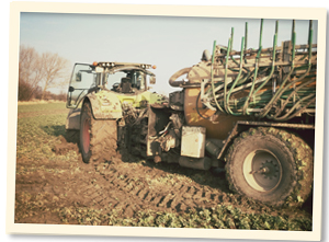 Landwirtschaft im März u. April