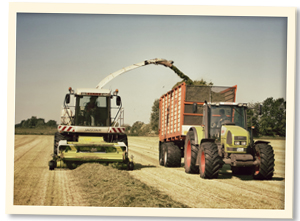 Landwirtschaft im Mai bis Juni